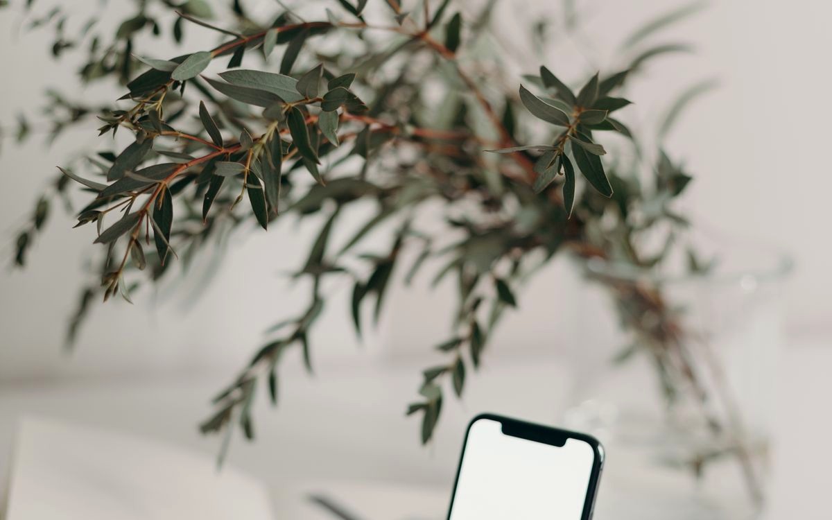 exchanges: organizations update working plans #17